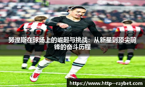 努涅斯在球场上的崛起与挑战：从新星到顶尖前锋的奋斗历程